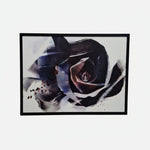 Framed abstract black and white floral art print of a rose on canvas.