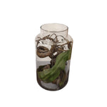 Marina Homes Glass Terrarium with Driftwood and Foliage