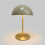 Olive Green Dome Metal Desk Lamp with Brushed Brass Base