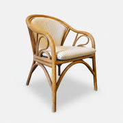 Charming Curved Rattan Striped Fabric Upholstered Armchair