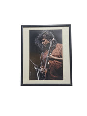 Guitarist in Concert