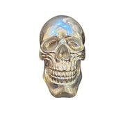 Sculptural Metallic Silver Carved Skull Specimen Accent