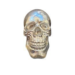 Sculptural Metallic Silver Carved Skull Specimen Accent