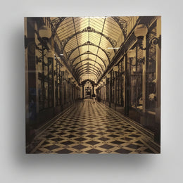 Passage des Princes Architectural Sepia Print in Sleek Acrylic Frame