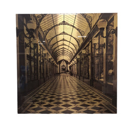 Passage des Princes Architectural Sepia Print in Sleek Acrylic Frame