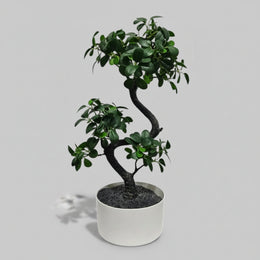 Ikea Retro Style Artificial Ficus Bonsai Plant in White Pot