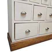 Rustic Apothecary-Style Nine-Drawer Multi-Storage Chest