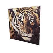 Captivating Tiger Portrait Canvas Wall Art