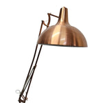 Bissenlink Licht Retro Rose Gold Industrial Floor Lamp
