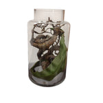 Marina Homes Glass Terrarium with Driftwood and Foliage
