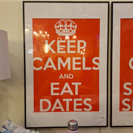 Humorous Arabian Keep Camels and Eat Dates Framed Art Print