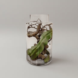 Marina Homes Glass Terrarium with Driftwood and Foliage
