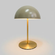 Olive Green Dome Metal Desk Lamp with Brushed Brass Base
