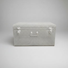 Industrial Perforated White Metal Storage Trunk Chest
